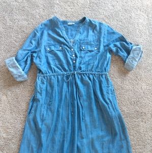 GAP Maternity Dress